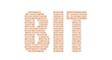 Bit